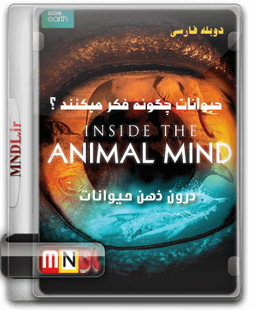 heyvanat-chegune-fekr-mikonand