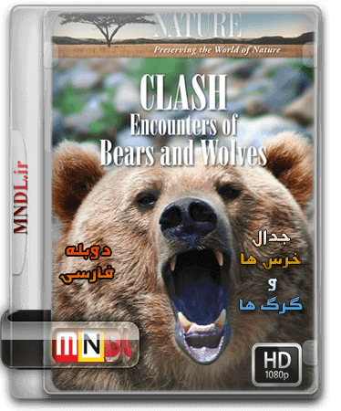 jedale-khersha-va-gorgha2