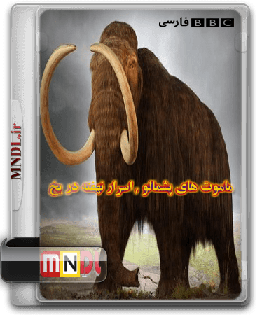 mamut-pashmalu