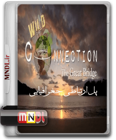 wild connection