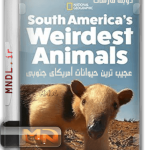 عجیب ترین حیوانات آمریکای جنوبی با دوبله فارسی