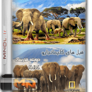 مستند فیل های کلیمانجارو با دوبله فارسی