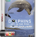 مستند جاسوسی در میان دلفین ها با دوبله فارسی