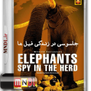جاسوسی حیوانات با دوبله فارسی - فیل ها