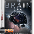 مستند بررسی مغز با دیوید ایگلمن با دوبله فارسی