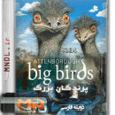 مستند پرندگان بزرگ با دوبله فارسی