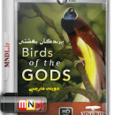 مستند پرندگان بهشتی با دوبله فارسی