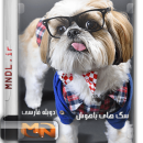 مستند سگ های باهوش با دوبله فارسی