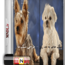 سگ ها به مد روز با دوبله فارسی