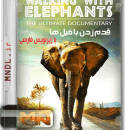 قدم زدن با فیل ها با زیرنویس فارسی