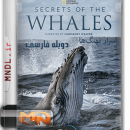 مستند اسرار نهنگ‌ها با دوبله فارسی