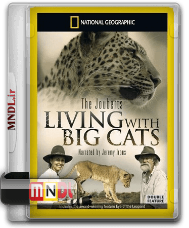 big cats(1)