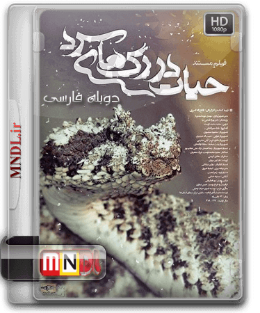 hayat-dar-ragehaye-sard