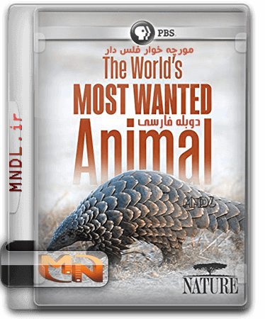 بایگانی‌های زیرنویس فارسی Pangolins: The World's Most Wanted Animal - مستند  با دوبله فارسی