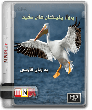 مستند پرواز پلیکان های سفید با دوبله فارسی