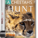 مستند شکار کردن یک چیتا با دوبله فارسی