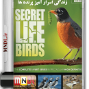 زندگی اسرار آمیز پرندگان با دوبله فارسی - قسمت اول
