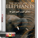 زندگی اسرار آمیز فیل ها با دوبله فارسی